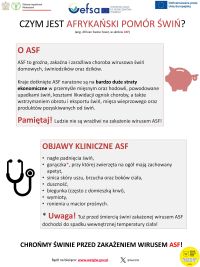 Zał. nr 2 plakat ASF 255-obrazy-0