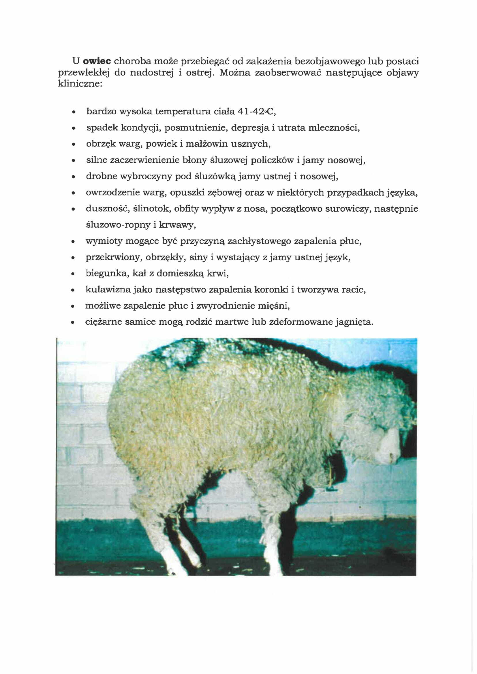 ulotka 2-2