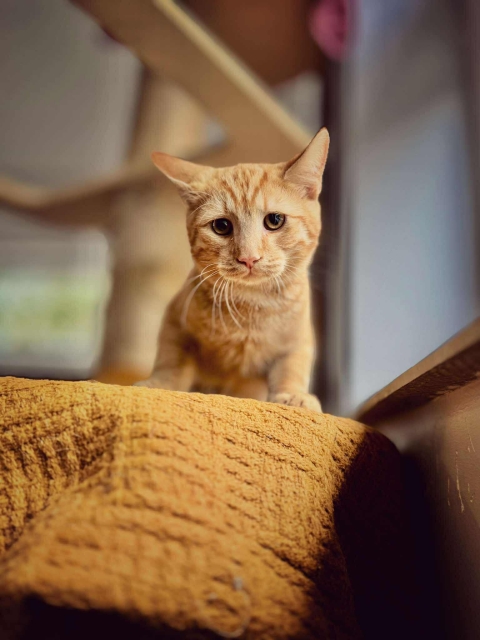 553226393_1344986234297945_8118896317595082373_n