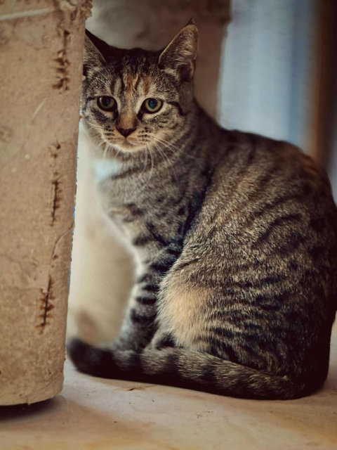 552635342_1504520000473159_5812915904136304841_n