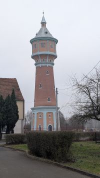 PXL_20251202_121301366.MP